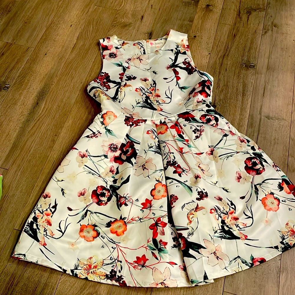 Adorable dress worn once.